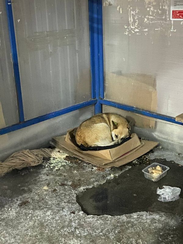 �C����� ������ �������������