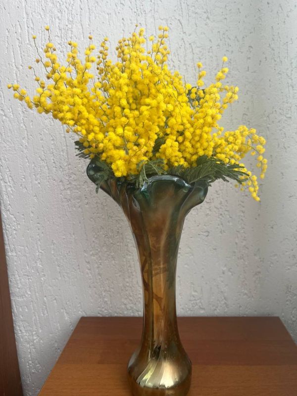 Доброе утро!. Ну что, проснулись? Пусть этот день будет для вас таким же светлым, как и ваши планы на него