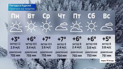 �� 8 �����. ����� ������ | �������� | MAX