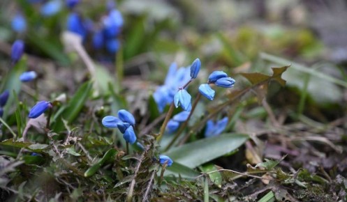 � ������� ������� 8 ����� ��������� �� 7 �������� �����