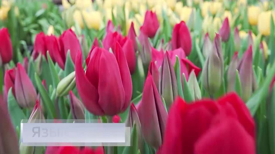 11111������� ���� ������ � � 14:30 � �������� ������� ������� ����� � �������� ������: