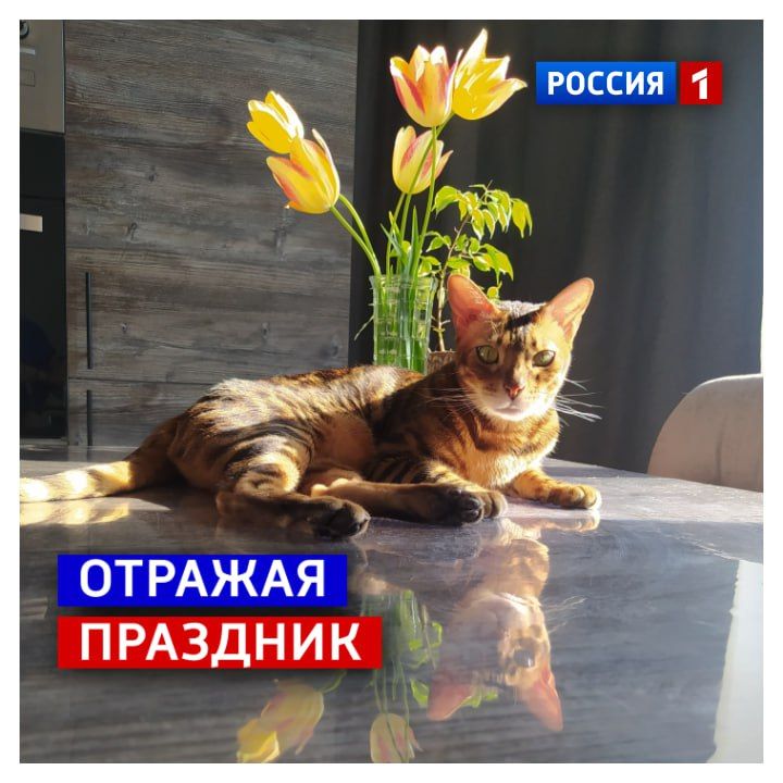 7 �����, �������. ��� ��������! ���������� �� ���, ��� ����