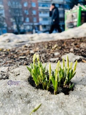 В Курской области потеплеет до +12 градусов