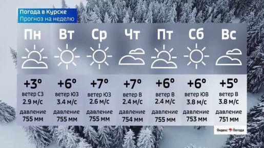 � ������������� ������� ����