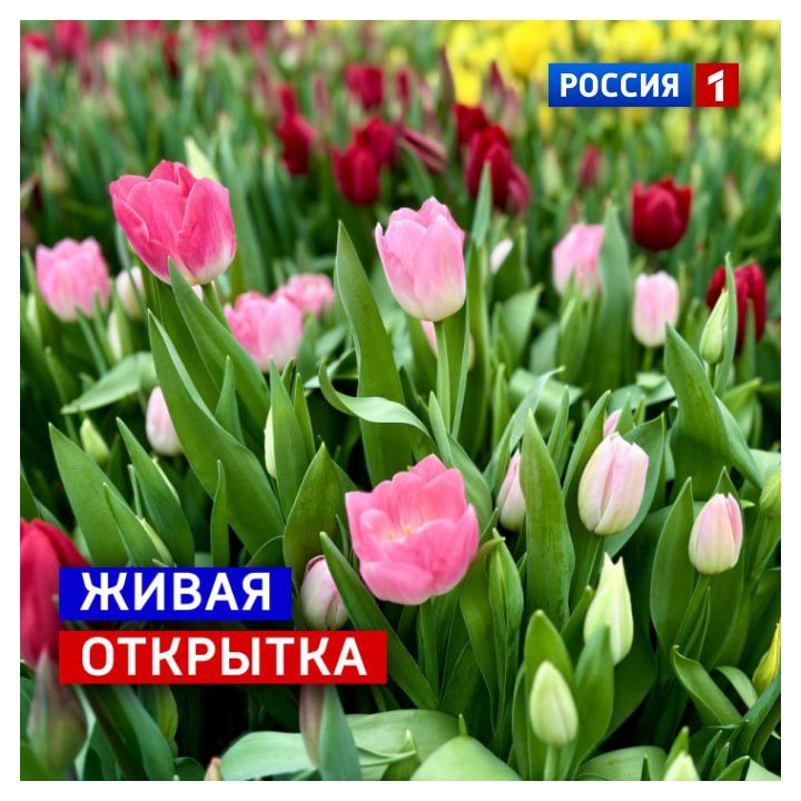 8 �����, �����������. ����������� ����� ��������� � �������������� � ������������� ������� ���! ��� ���������� ����� ���������� ��������� �� ��������� � ������