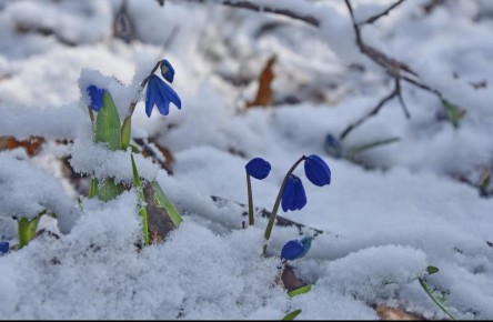 В Курске 9 марта будет облачно
