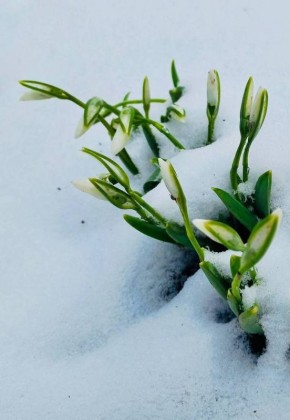 ��������� ����� ������� ��� ��������� �� ���� ������