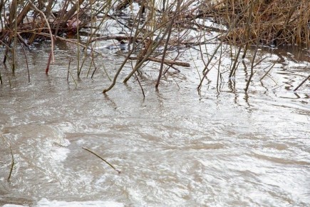 В Курской области теплая погода сделала лед опасным