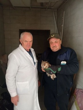 � ������ ������ ������� ������� ���� � ������ ����