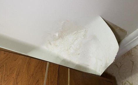 ������ �������� 175 ��������� �� ������ ����������� ����