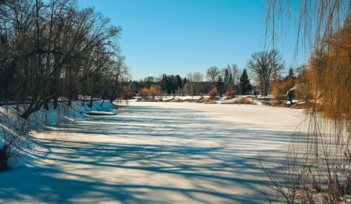 � ������� ������� 11 ����� ��������� ���������� �� +14 ��������