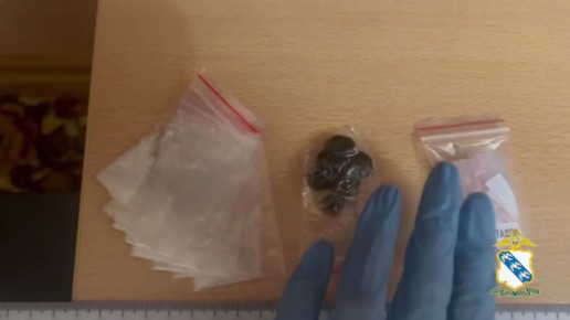 ������� ����������� ��������� 22-������� ���������� ����������