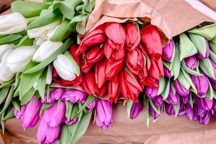 �������� 8 ����� ����� ������ ���� ���������� ������� � �������