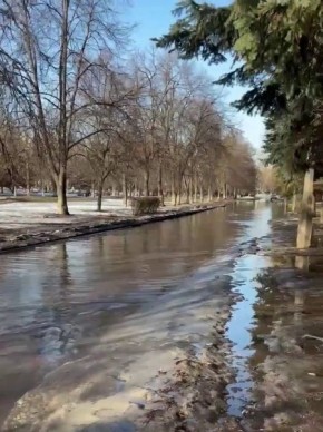 � ������ �������� ��� �����