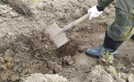 � ������� ������� ������� ������� ����� ��������� ��������������� ������