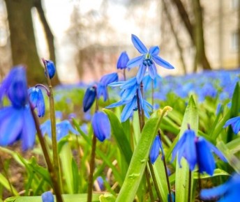 13 ����� � ������� ������� ��������� �� +15 ��������