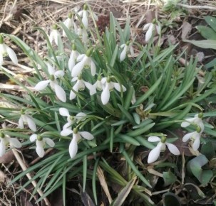 ����� ������ �� �������� 14-15 ����� ��������� � ������� �������