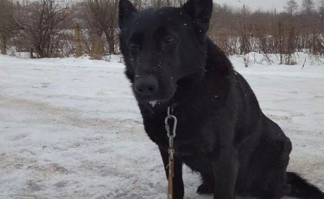 ������� ����������� ��������� �� ����������� ����� ���� ��������� �������