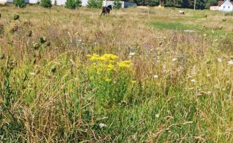 ������� ����� ����� ����� �� 13,8 ��� ������