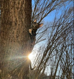 В Курской области после тёплых выходных похолодает до +2