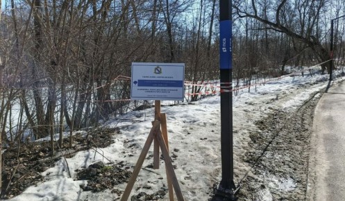 В Курске в парке «Боева дача» убирают аварийные деревья и американский клен