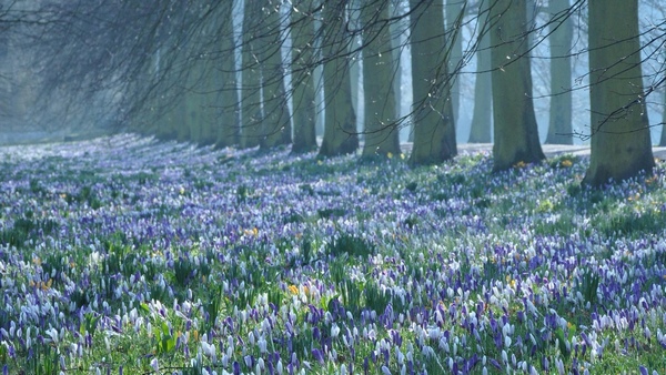 Сами вы плохие! (с) Погода. Представляем прогноз на 14 марта в Курске