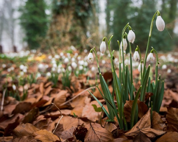 Такая хорошая погода, надо подвинуть компьютер ближе к окну. Представляем прогноз на 15 марта в Курске