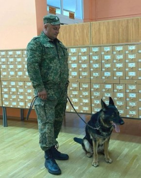 Курские таможенники проводили на заслуженный отдых двух служебных собак