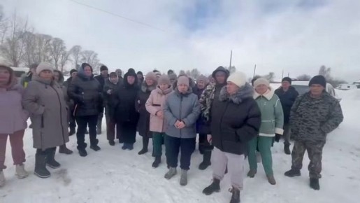 Массовое уничтожение скота в России: протесты, проверка СК и информационные атаки