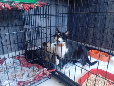 ������� ����� ��������� ��� ������� �������� ��-�� ������ � ���������� ���������