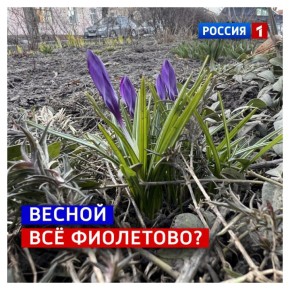 16 �����, �����������. ���������� ������, ��� ���� �����