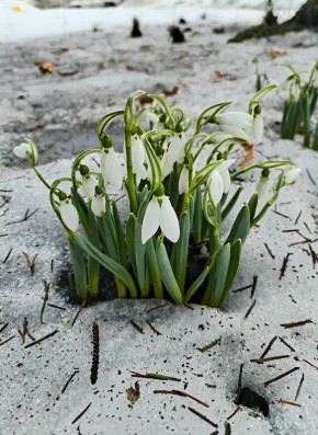 ������ ����!. ������� ������������ � ������� ������! ������ ����������� �� ���� ������ ���������