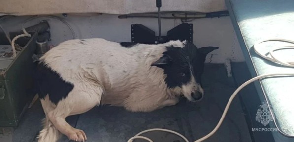 � ������ �� ���� ������� ���������� ��� ������ ������� ������