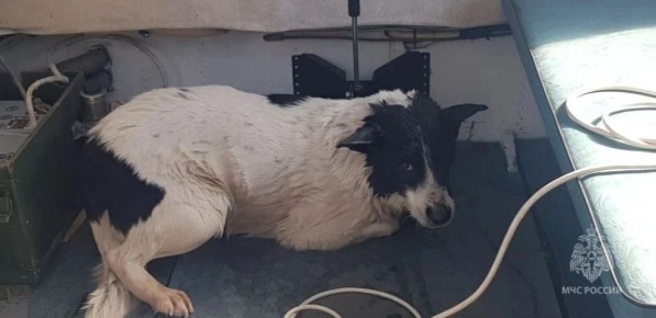 � ������ ���������� ��� ������ ������� � ���� ������