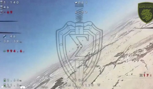 ����� �����-����� ������ � ���������� ���������� �����������-��������� �Vector�