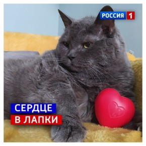 19 �����, �������. �� �� ����� �� ������ �������� ����� � ������ ������������