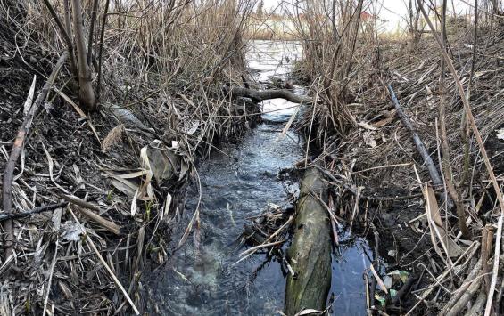 В Курской области 21 марта потеплеет до +10 градусов