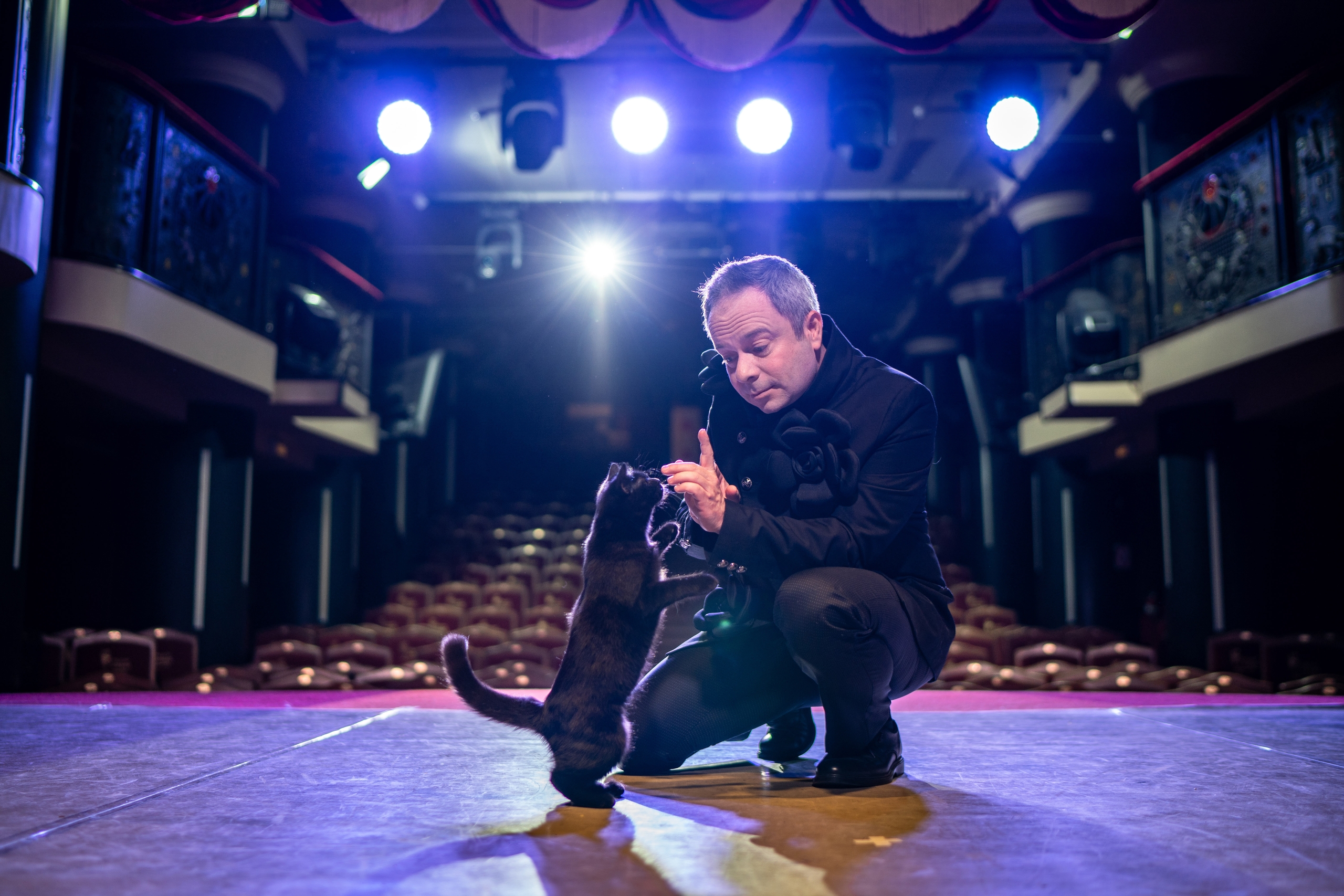 Кошки из курского приграничья выступили в Театре Куклачева