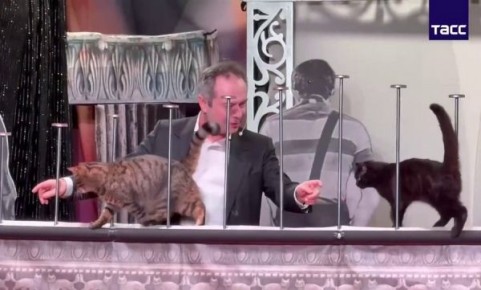 ��������� �� �������� ������� ����� ������� ��������� � ������ ���������