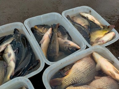 �������� �� �� ������: � ������ �������� ������������������� ������� ���� �� �������