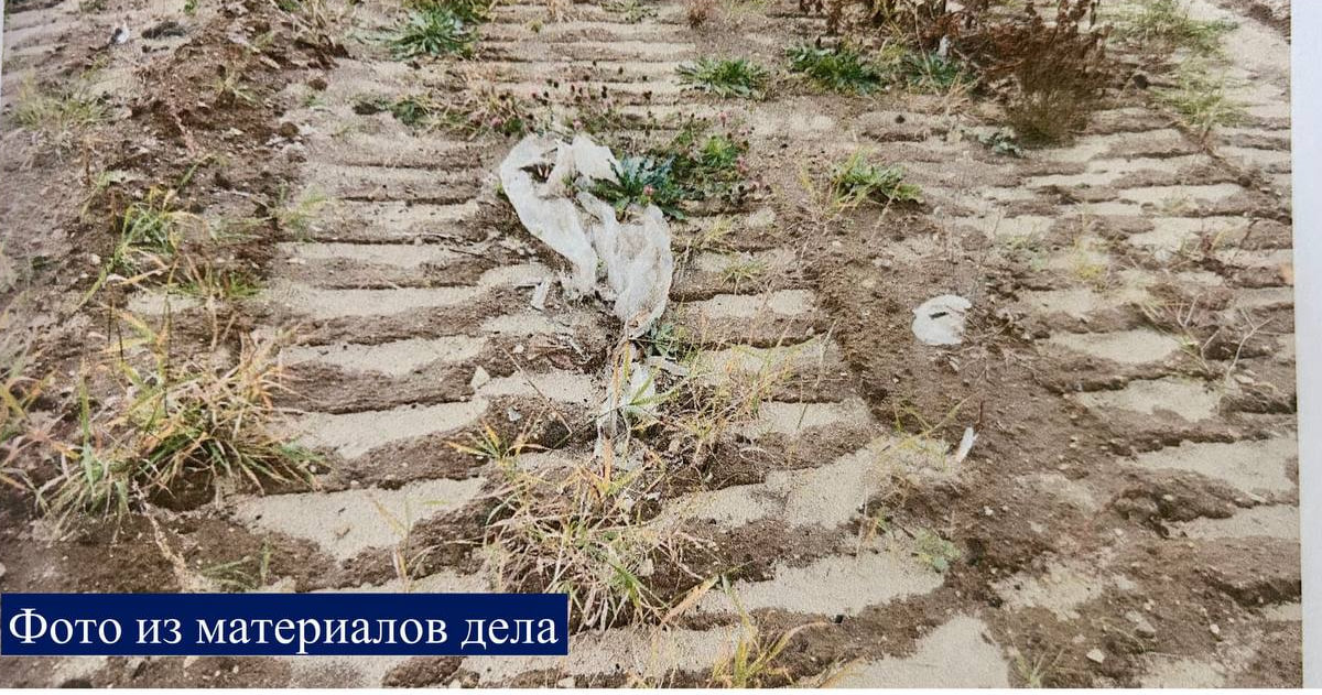 Под Курском суд обязал собственника участка ликвидировать свалку отходов