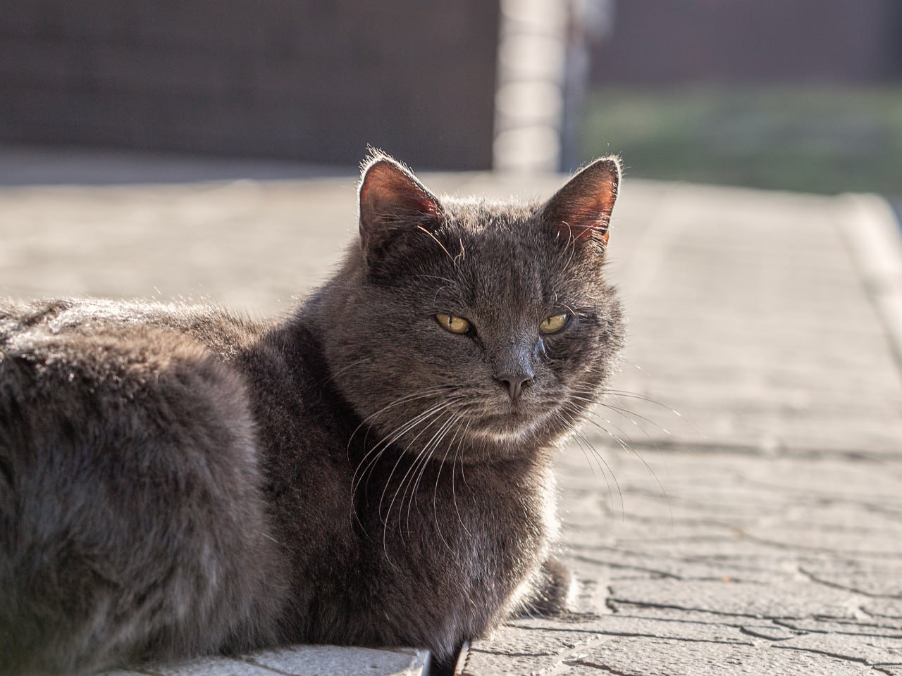 В Курской области 22 марта будет до +10 градусов