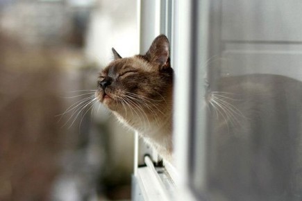 Сегодня слишком хорошая погода, чтобы сидеть дома с плохим настроением Представляем прогноз на 21 марта в Курске