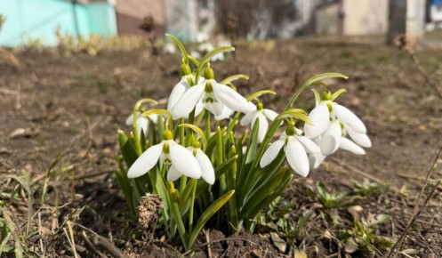 � ������� ������� 23 ����� ��������� ����� � ���������� �� +11 ��������