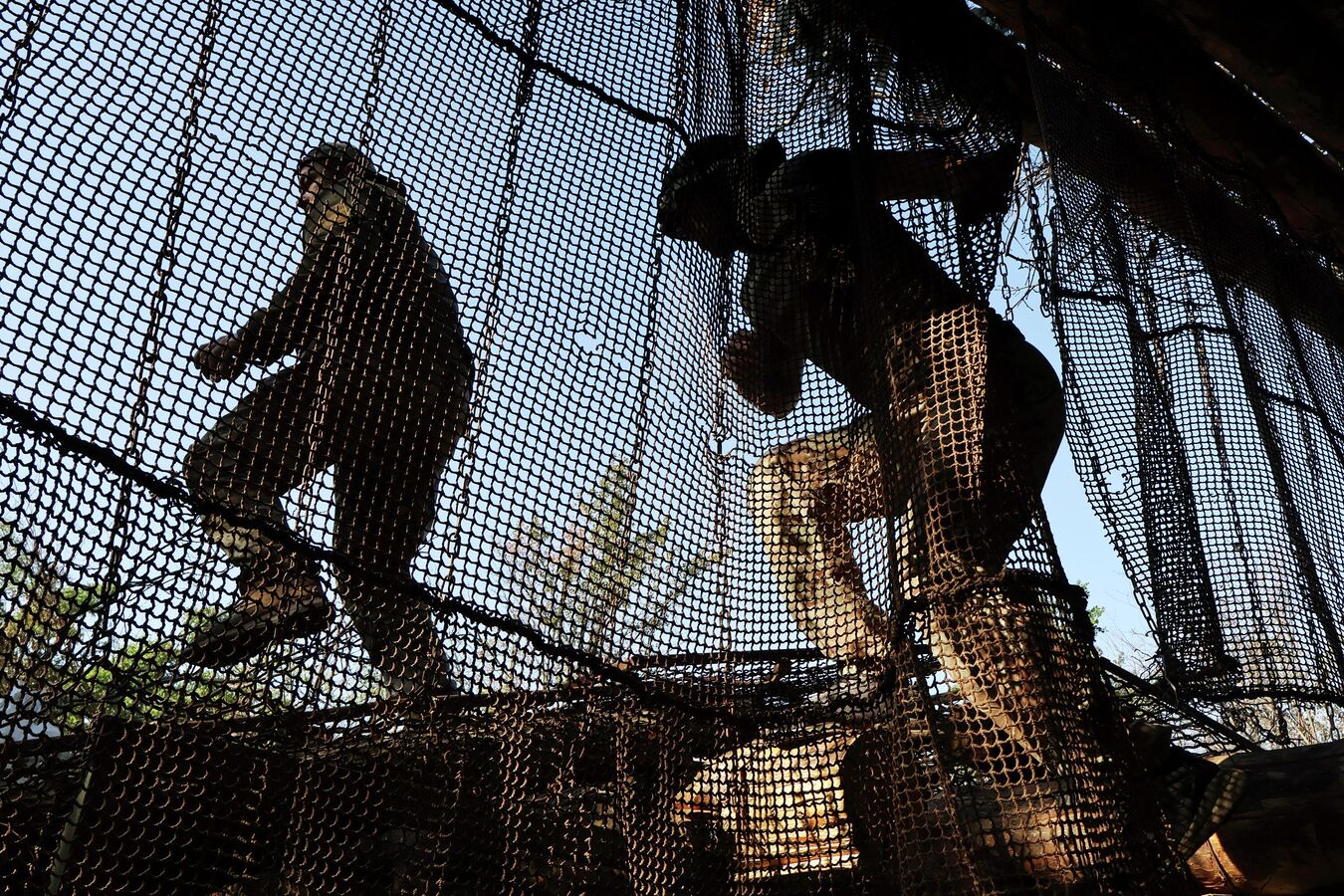 В Курской области за сутки сбили 80 украинских беспилотников