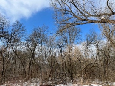 Начало недели в Курской области будет солнечным и теплым