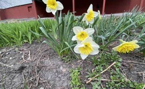 ����� ��������� �������� � ���������� ��������� ������