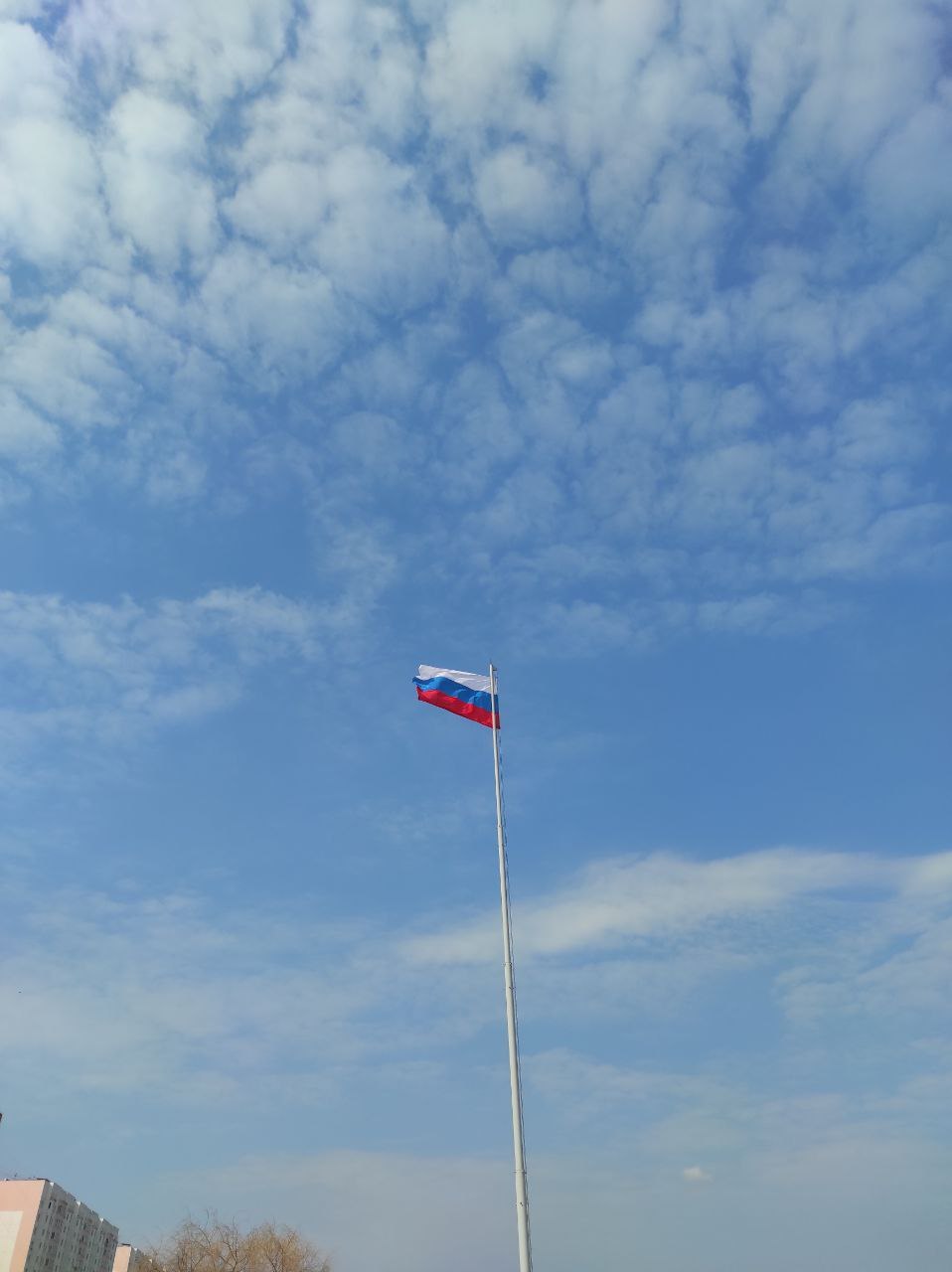 В Курской области за сутки сбили 51 беспилотник