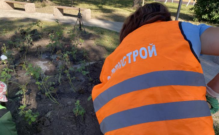 В Курске в следующем году планируют передачу озеленения муниципальной компании