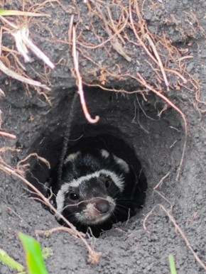 � ������� ������� ������� ����� ������������� ������� �� ������ ���������